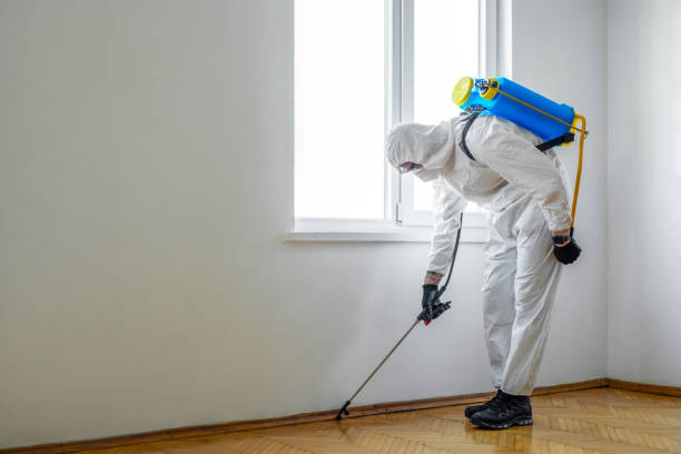 Indoor Pest Control in Meadow Woods, FL